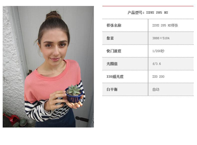 佳能（Canon）IXUS 285 HS 数码相机 卡片机 学生入门便携式家用照相机 黑色（含64G卡+读卡器+包） 详情图 18