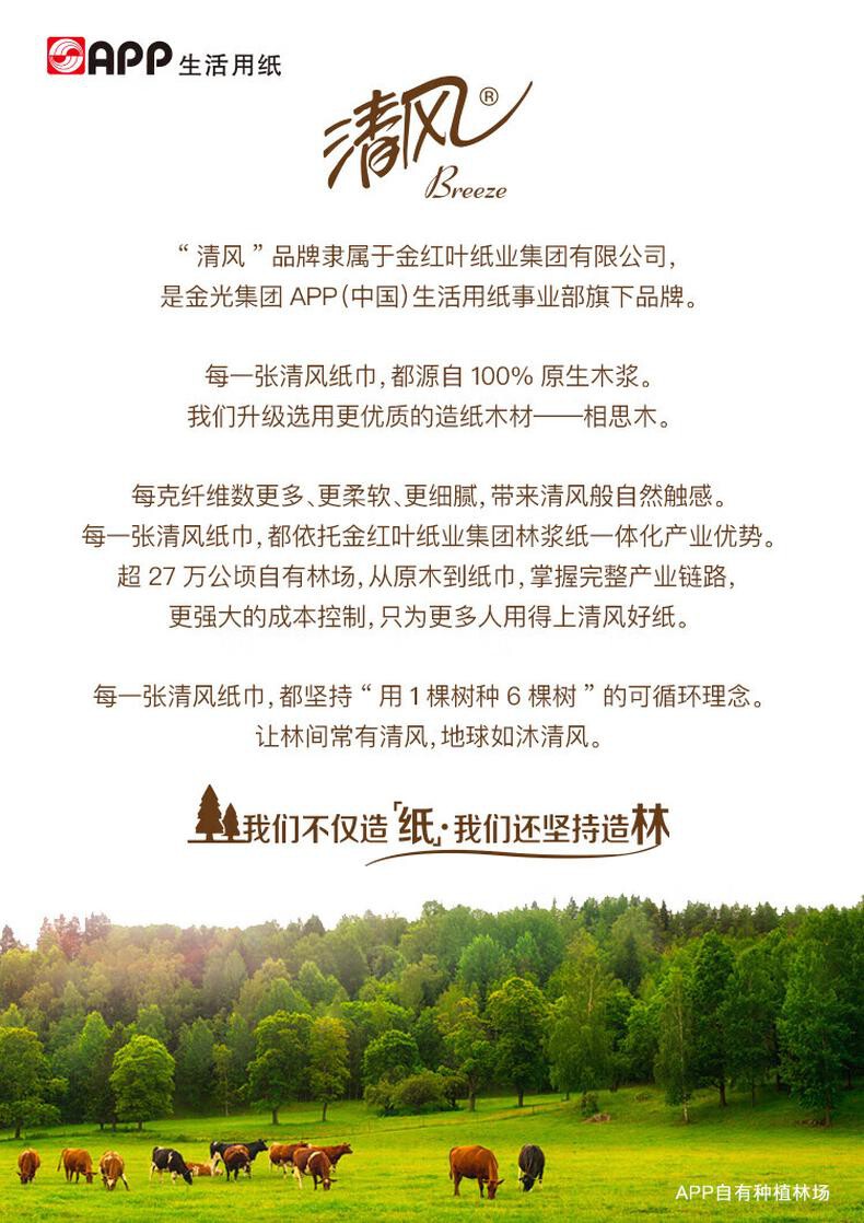 清风无芯卷纸 B03C8SCN1马蹄莲4层83克*12卷 卫生纸卷纸 详情图 14