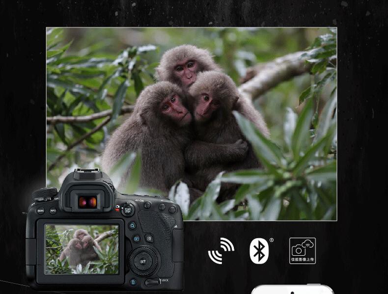佳能 EOS 6D Mark II 单反照相机 (套) 详情图 15