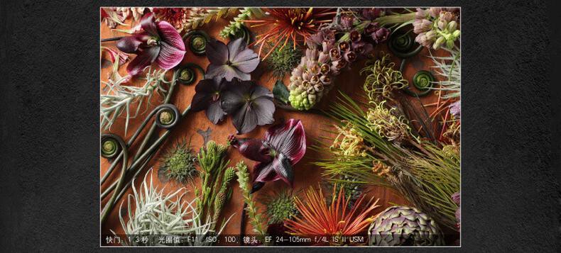 佳能 EOS 6D Mark II 单反照相机 (套) 详情图 18