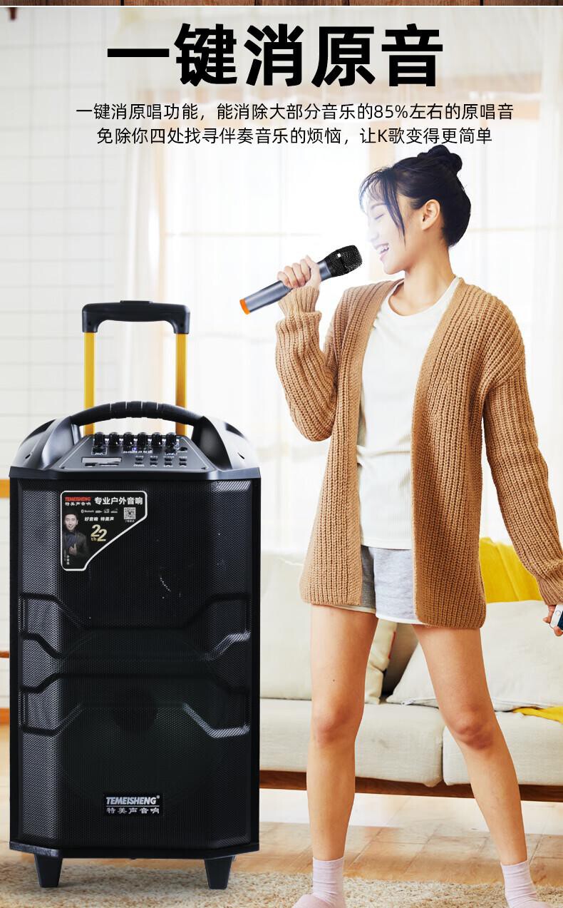 TEMEISHENG特美声QX-1229专业广场舞音响 会议音响 拉杆音箱 户外音响 标配无线麦克风扩音器 精致露营 详情图 5