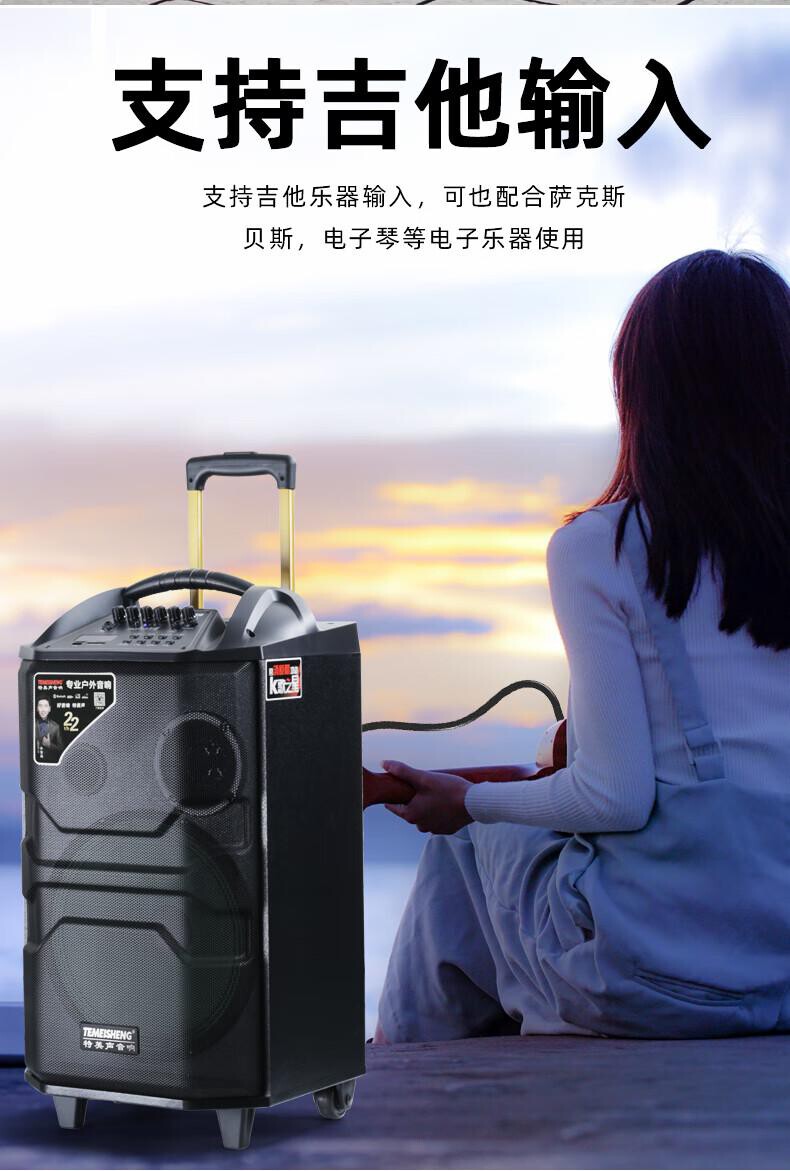 TEMEISHENG特美声QX-1229专业广场舞音响 会议音响 拉杆音箱 户外音响 标配无线麦克风扩音器 精致露营 详情图 8